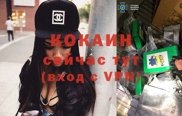 шишки Баксан