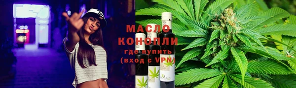 стаф Арсеньев