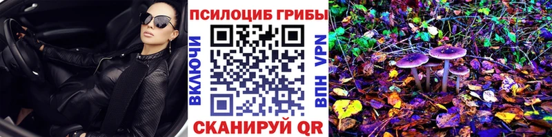 дарк нет клад  Вилючинск  Псилоцибиновые грибы мицелий 